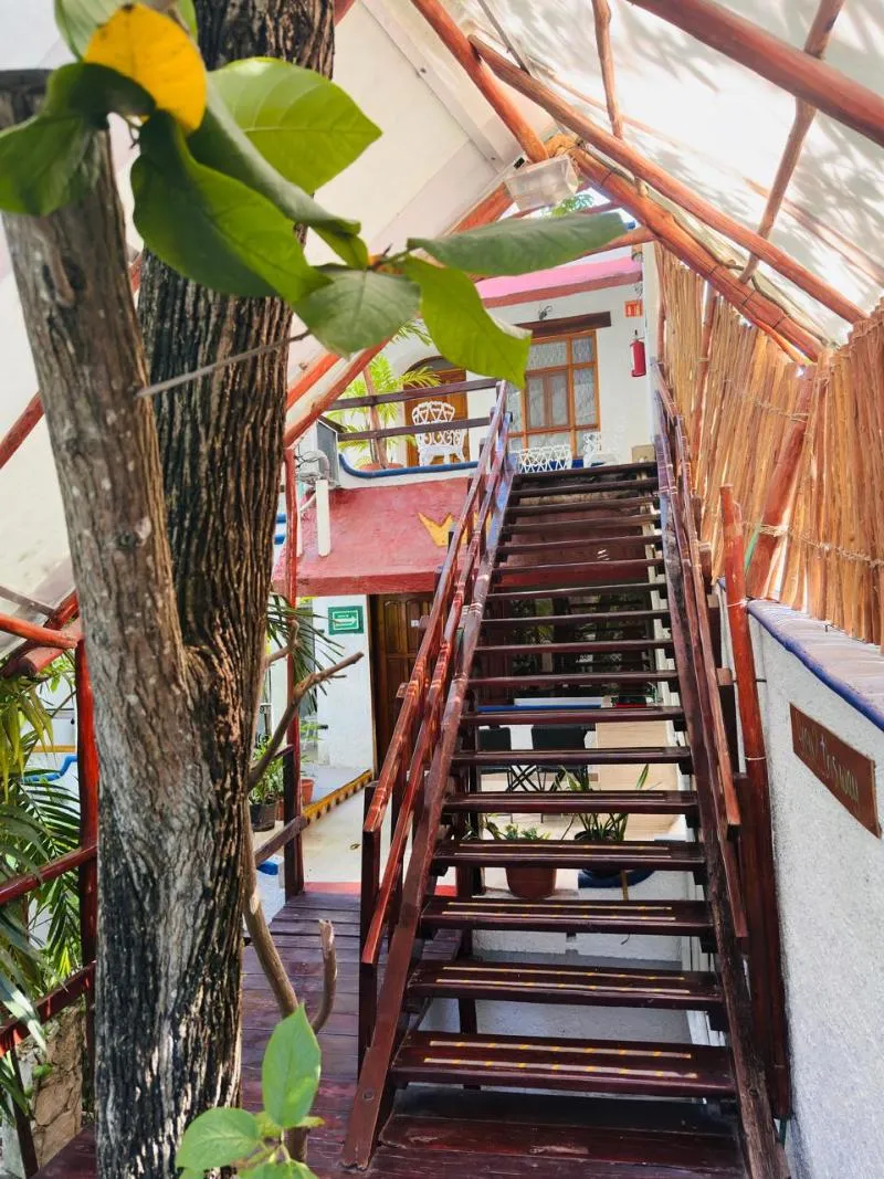 General view, Eco-hotel El Rey Del Caribe, Cancun Area