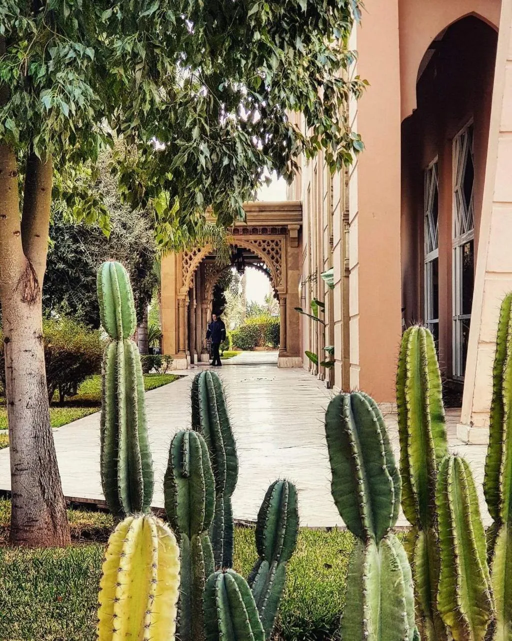 Terrace, Grand Mogador Menara & Spa, Marrakech