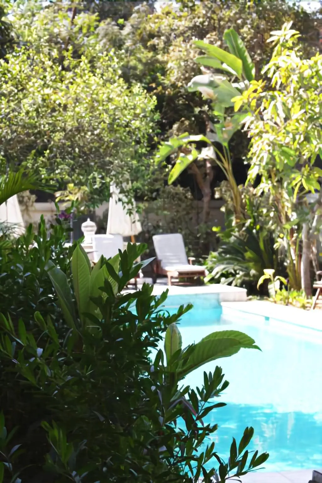 Sports and Entertainment, Villa Belle Epoque, Cairo