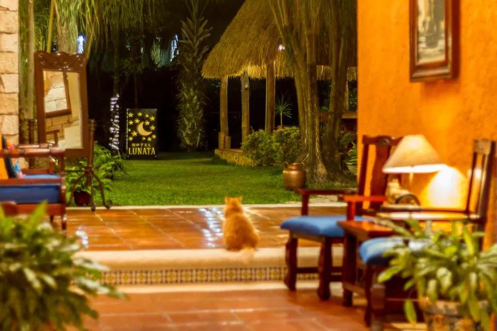 General view, Lunata, Playa Del Carmen