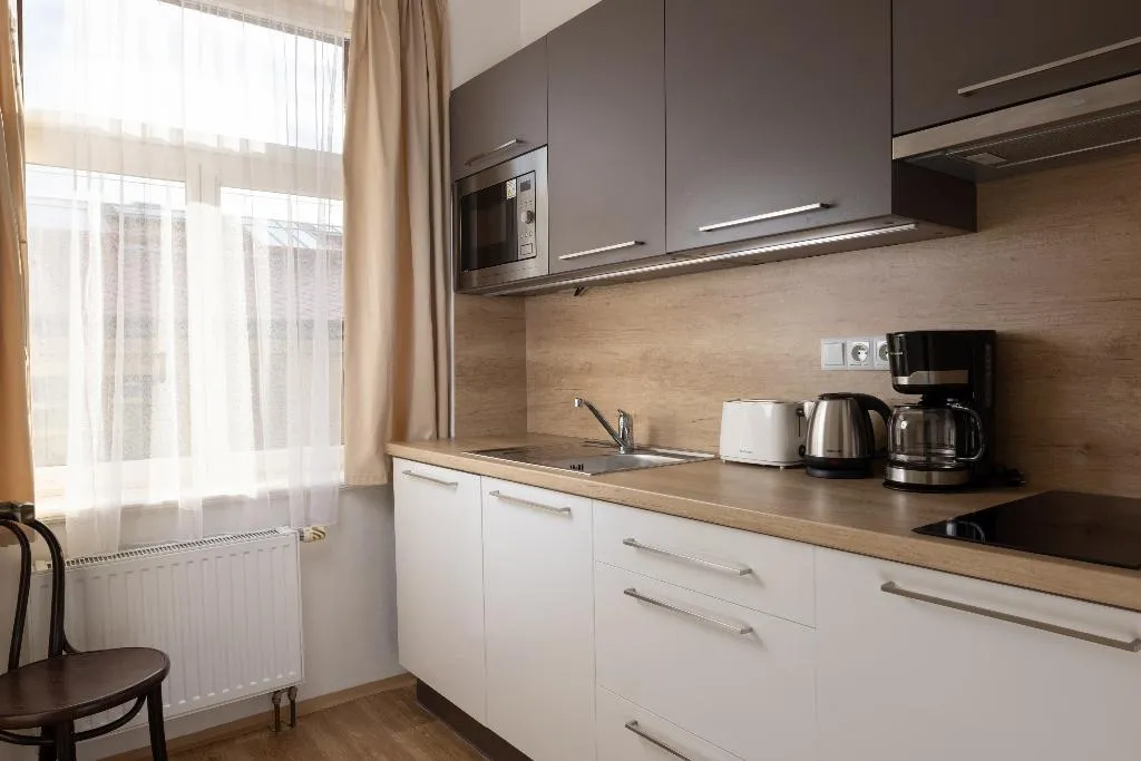 APARTMENT CAPACITY 4 Room, Anyday Apartments, Prague