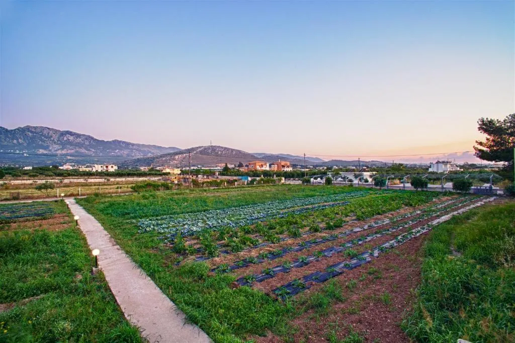 General view, Ilios & Farming Hotel, Kos