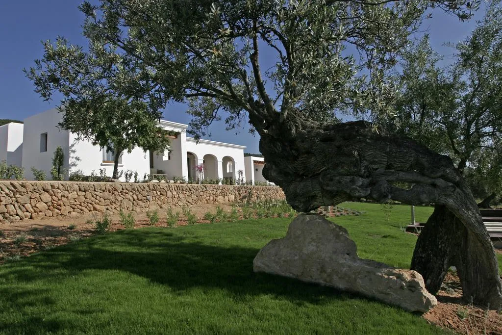 General view, Casa Maca (Es Trull de Can Palau), Ibiza