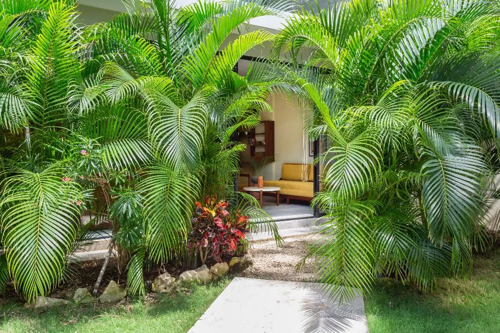 STUDIO WITH JACUZZI Room, Xperience Tulum Hotel, Cancun Area