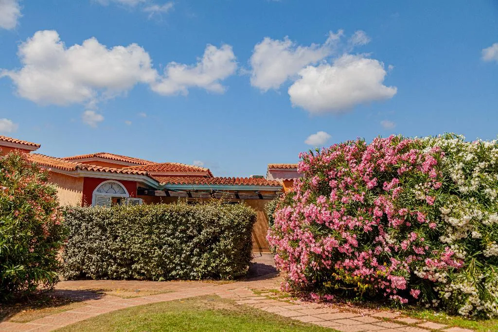 APARTMENT CAPACITY 5 Room, Lu Nibareddu Aparthotel, Olbia