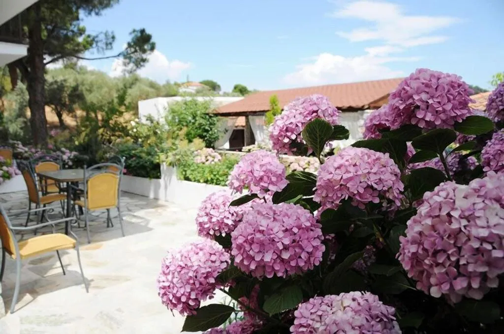 Terrace, Skiathos Island Suites, Skiathos