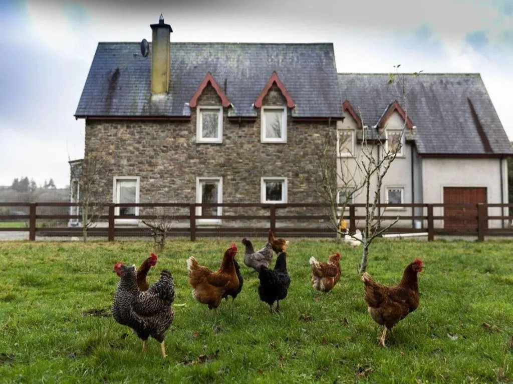 General view, Lake House B&B, Cork