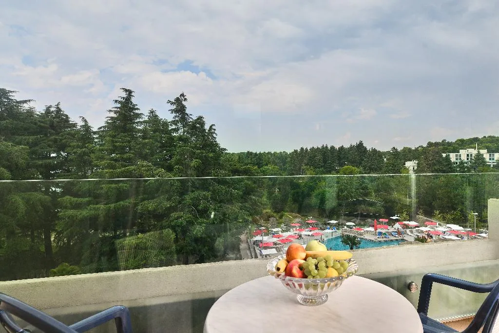 SINGLE PARK VIEW Room, Hotel Mediteran Plava Laguna, Istria