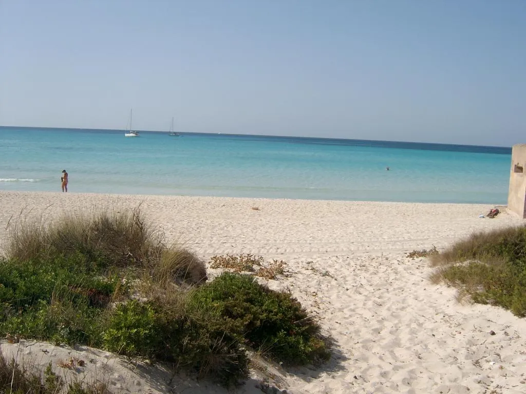 Beach, Aparthotel Isla de Cabrera, Majorca