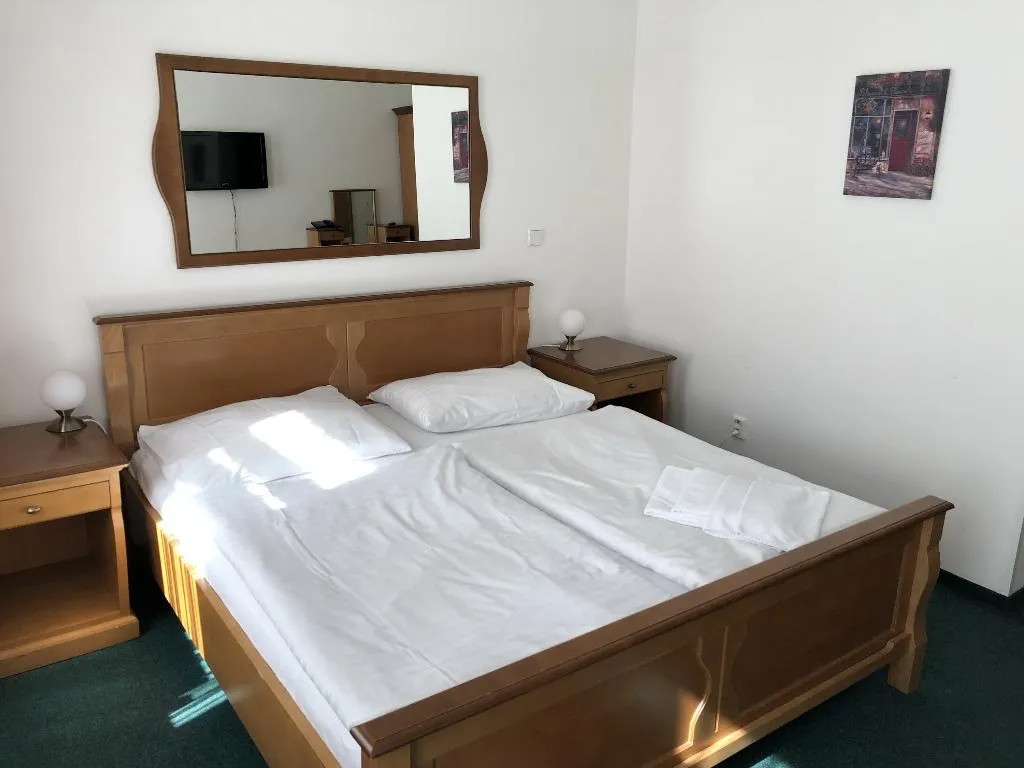 Double or Twin DELUXE Room, Brezina, Prague