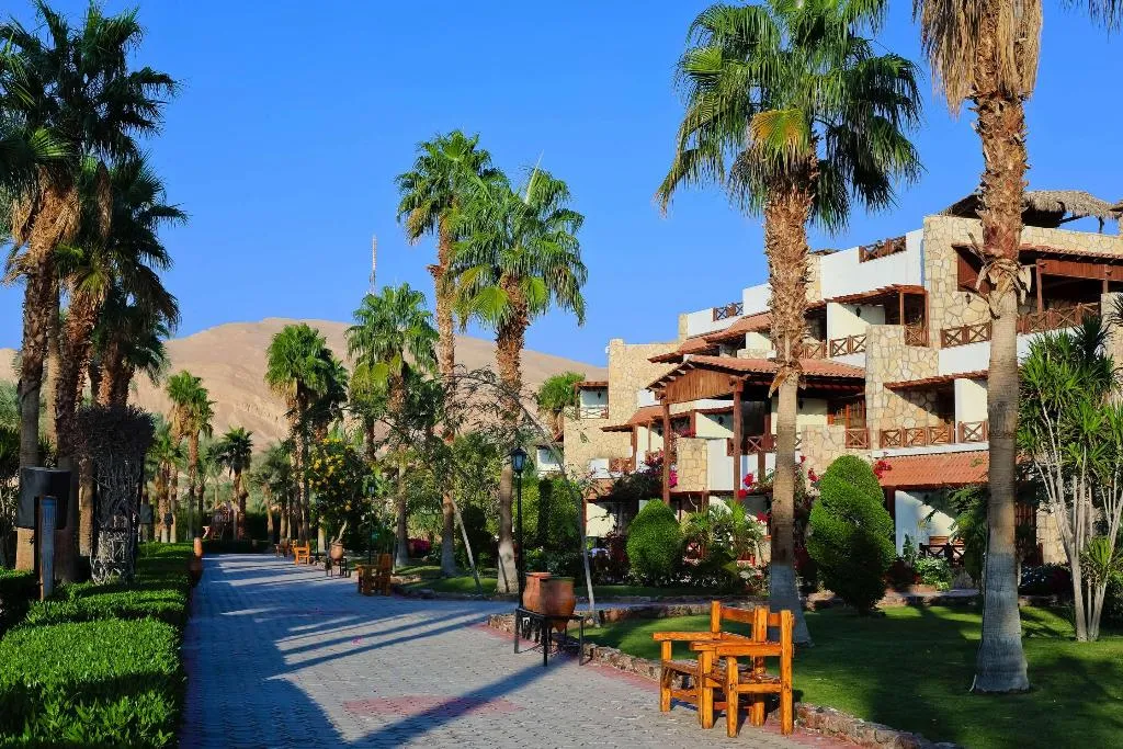 SUITE KING SIZE BED Room, Steigenberger Hotel & Nelson Village, Red Sea Riviera