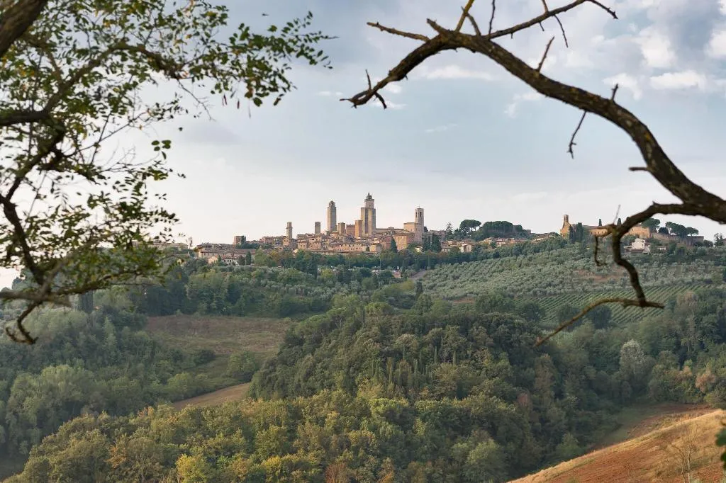 General view, Villa San Paolo, Florence