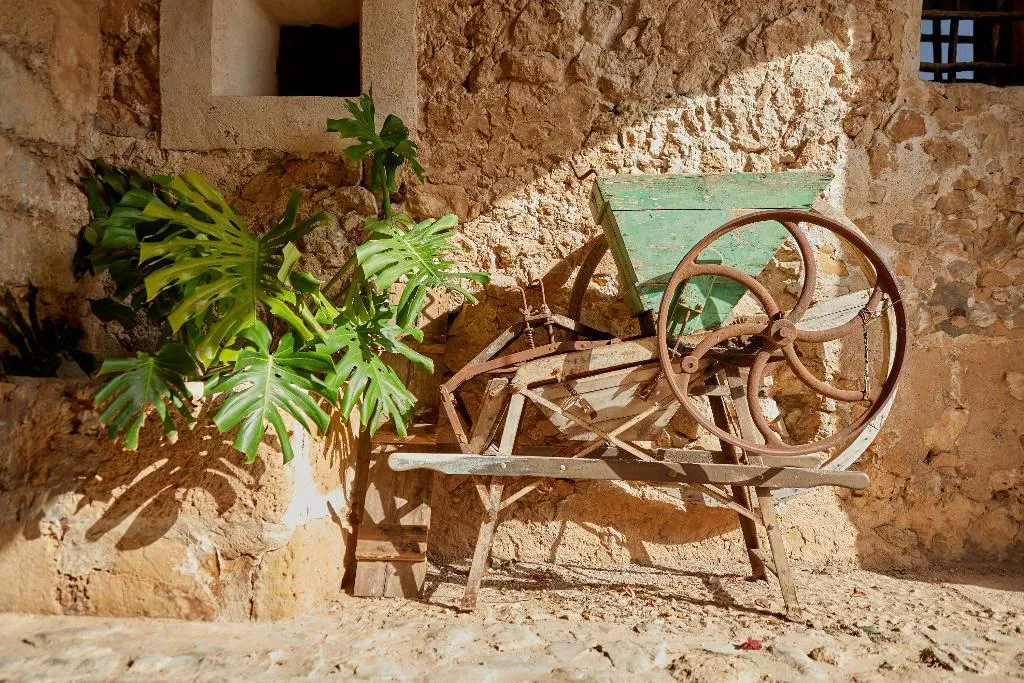 General view, Agroturismo Alquería Blanca, Majorca
