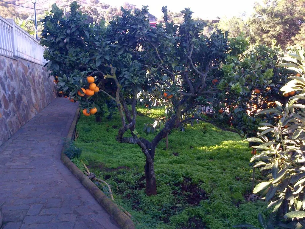 General view, RK El Cabo Cottage, Gran Canaria