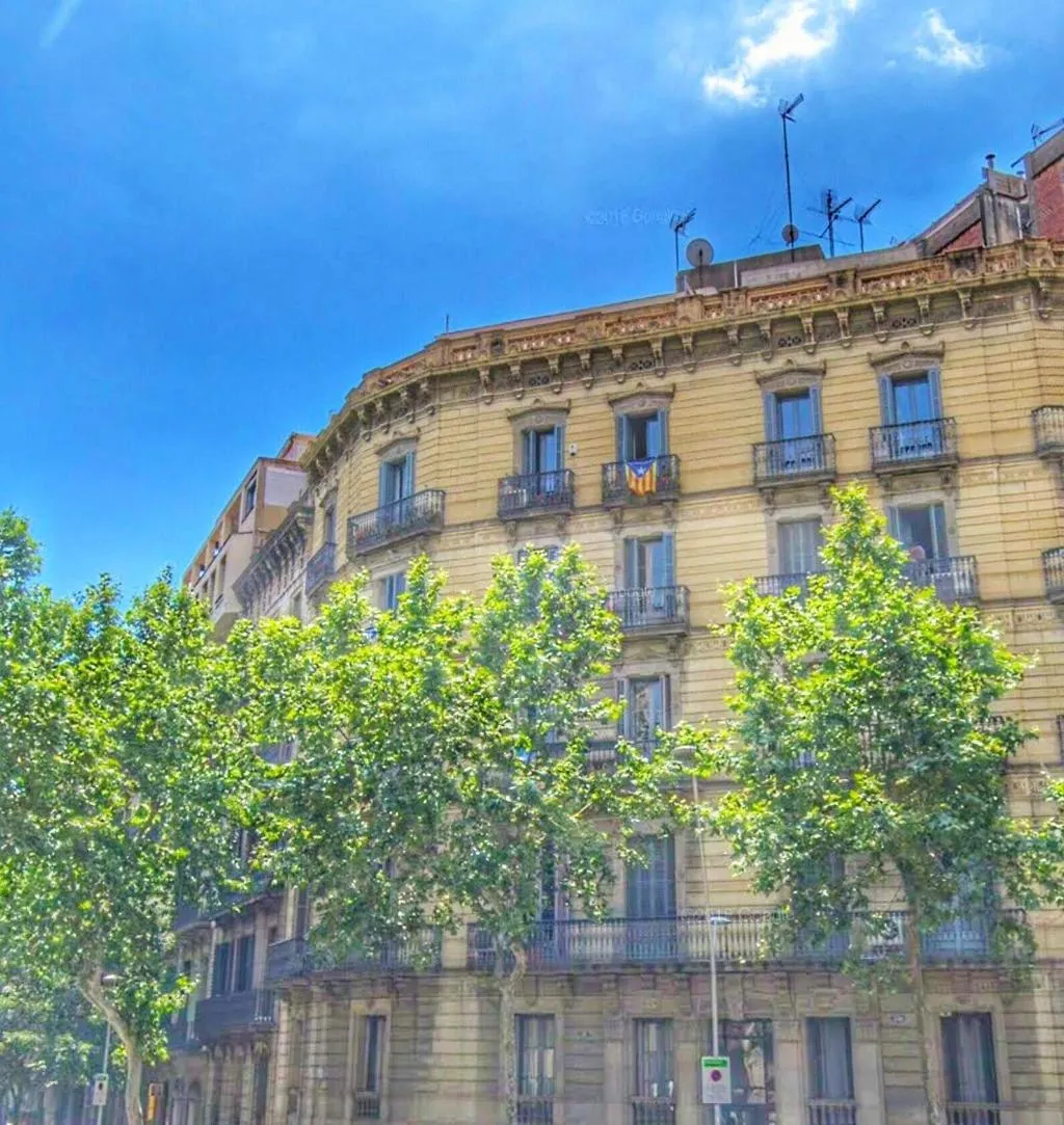 General view, Jardinets Guest House, Barcelona