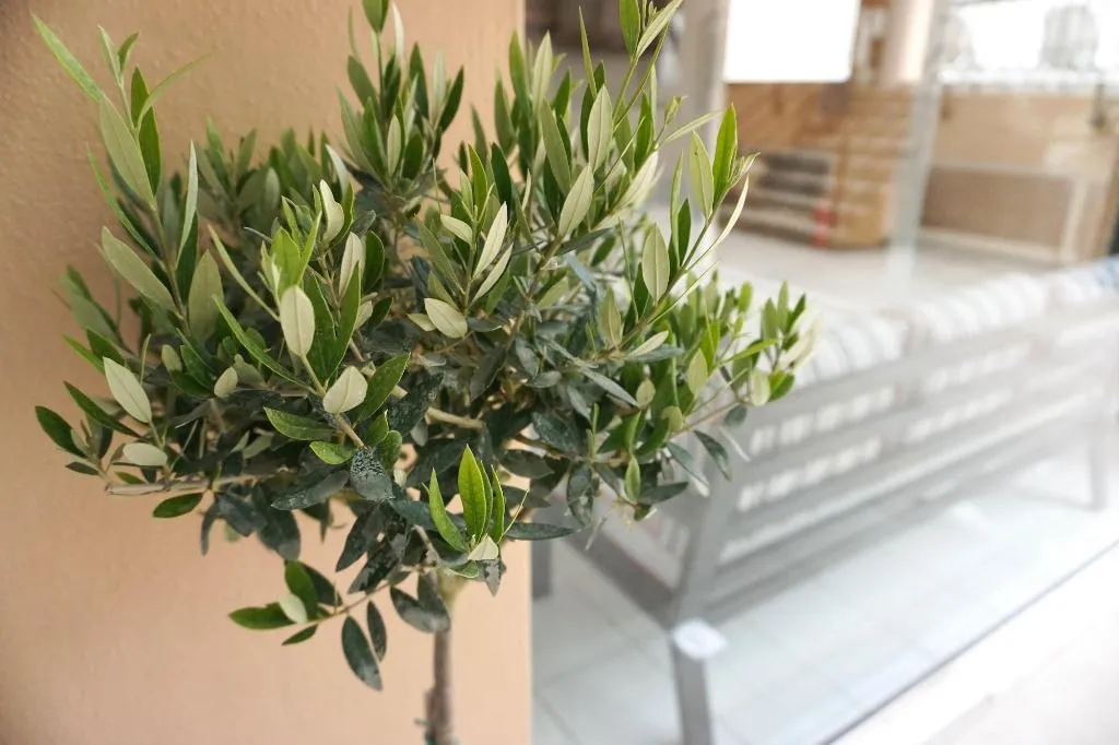 Lobby, Dioni Hotel, Crete