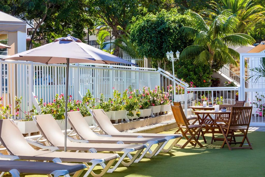 Terrace, Los Dragos Del Norte, Tenerife