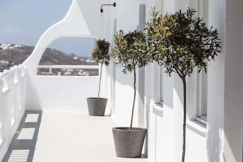 General view, My Mykonos Boutique by Mr and Mrs White, Mykonos