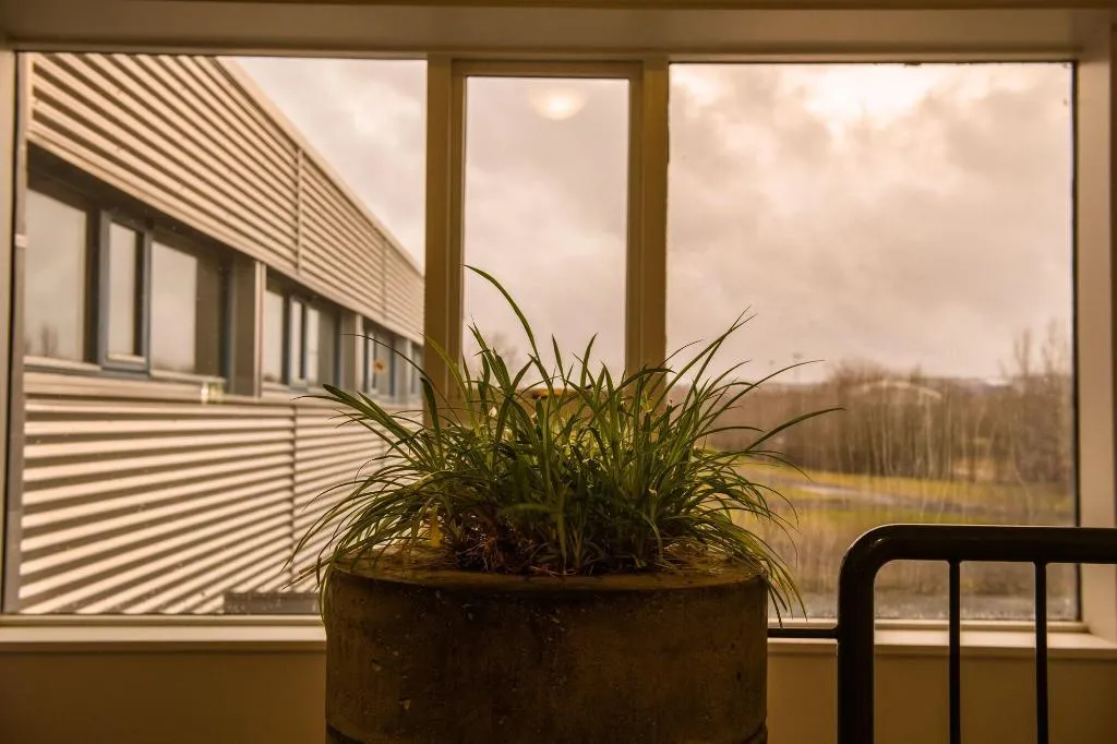 Lobby, Reykjavík City Hostel, Reykjavik