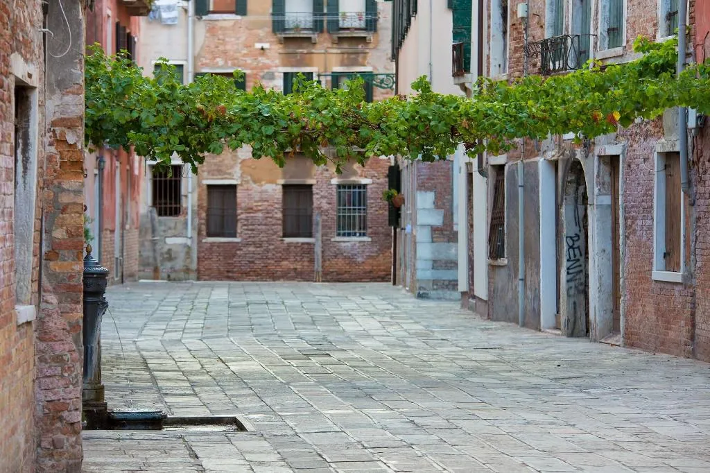 General view, Alla Vite Dorata, Venice
