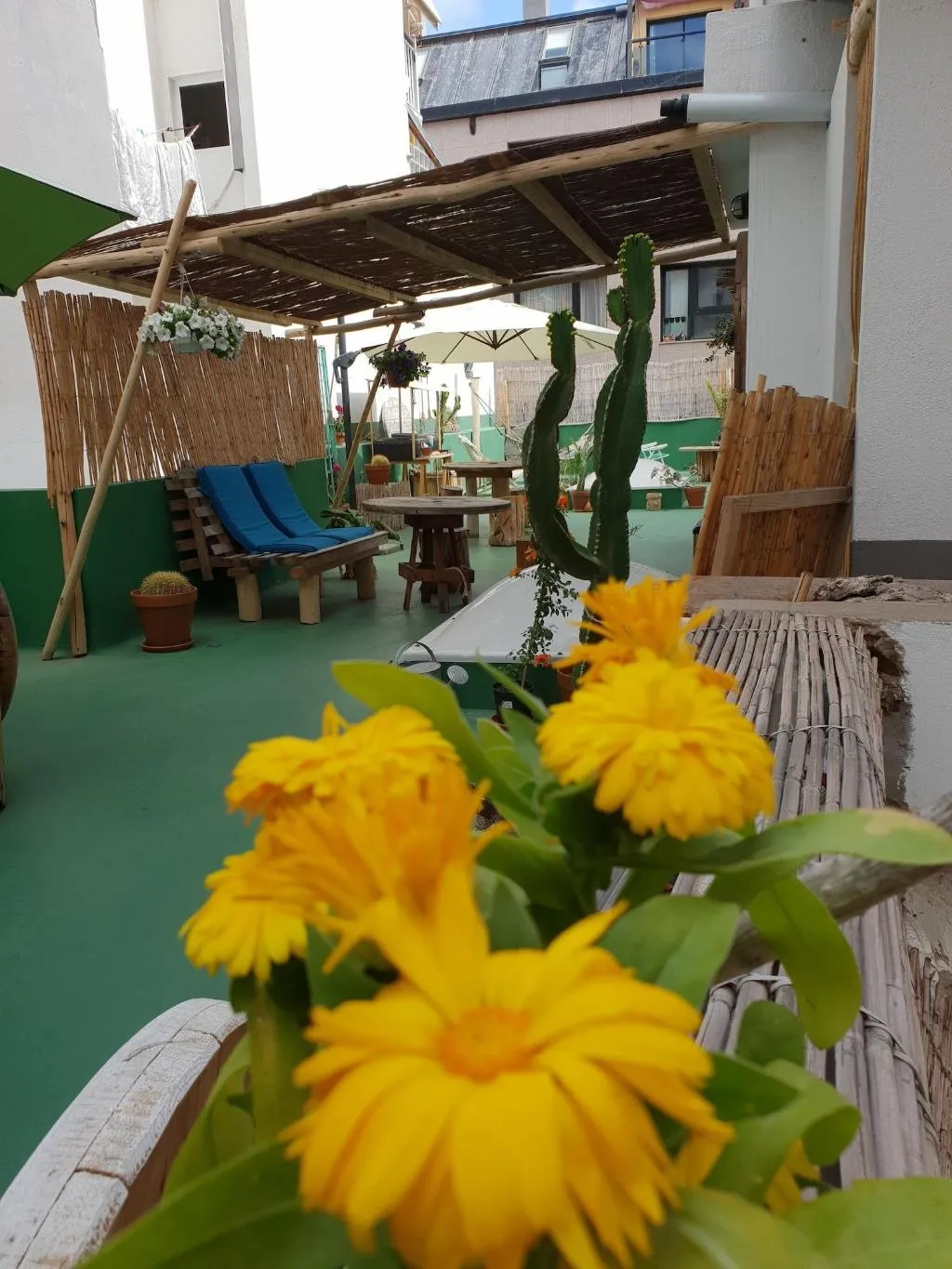 Room, Cactus Host, Gran Canaria
