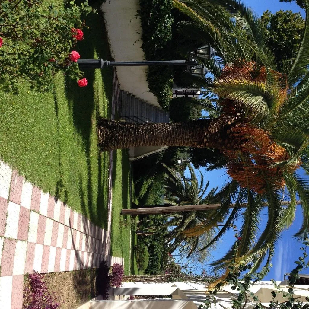 General view, Tzilios Studios, Corfu