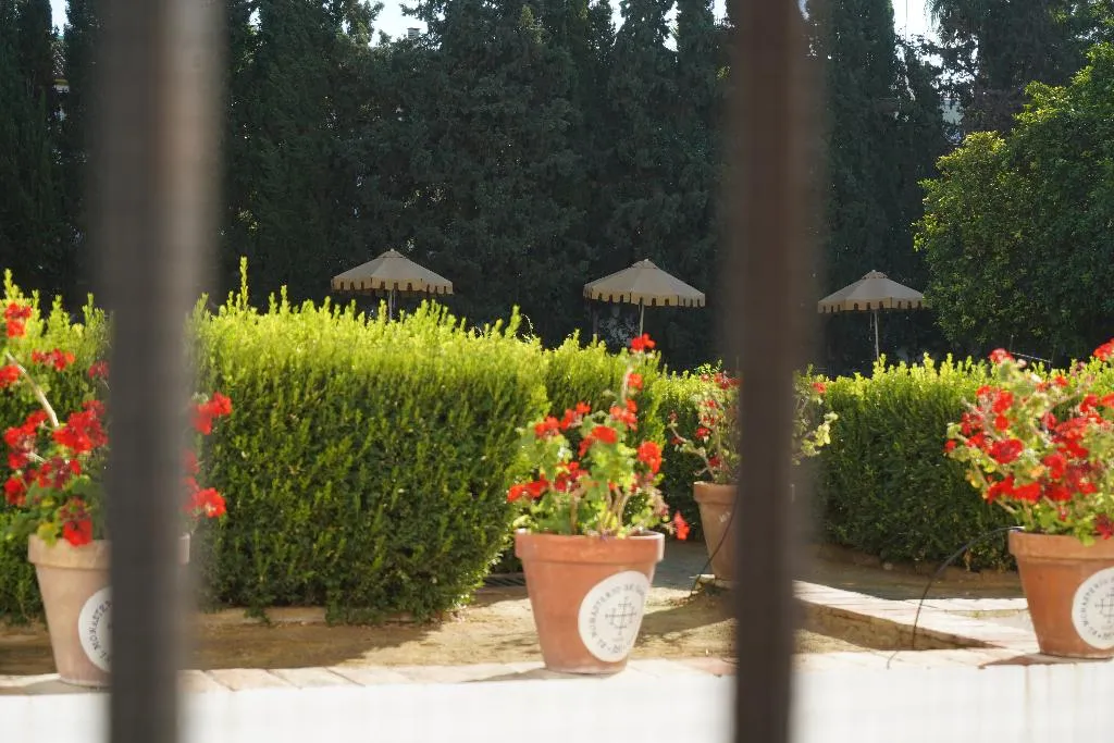 DOUBLE SINGLE USE SUPERIOR CITY VIEW Room, Monasterio de San Francisco, Costa Del Sol