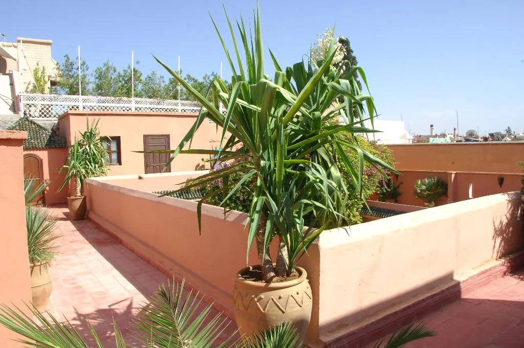 Terrace, Riad Barroko, Marrakech
