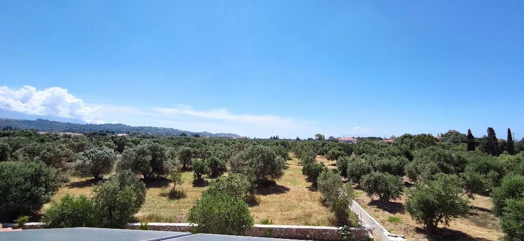 General view, Casa De Rosa Studios & Apartments, Kefallinia