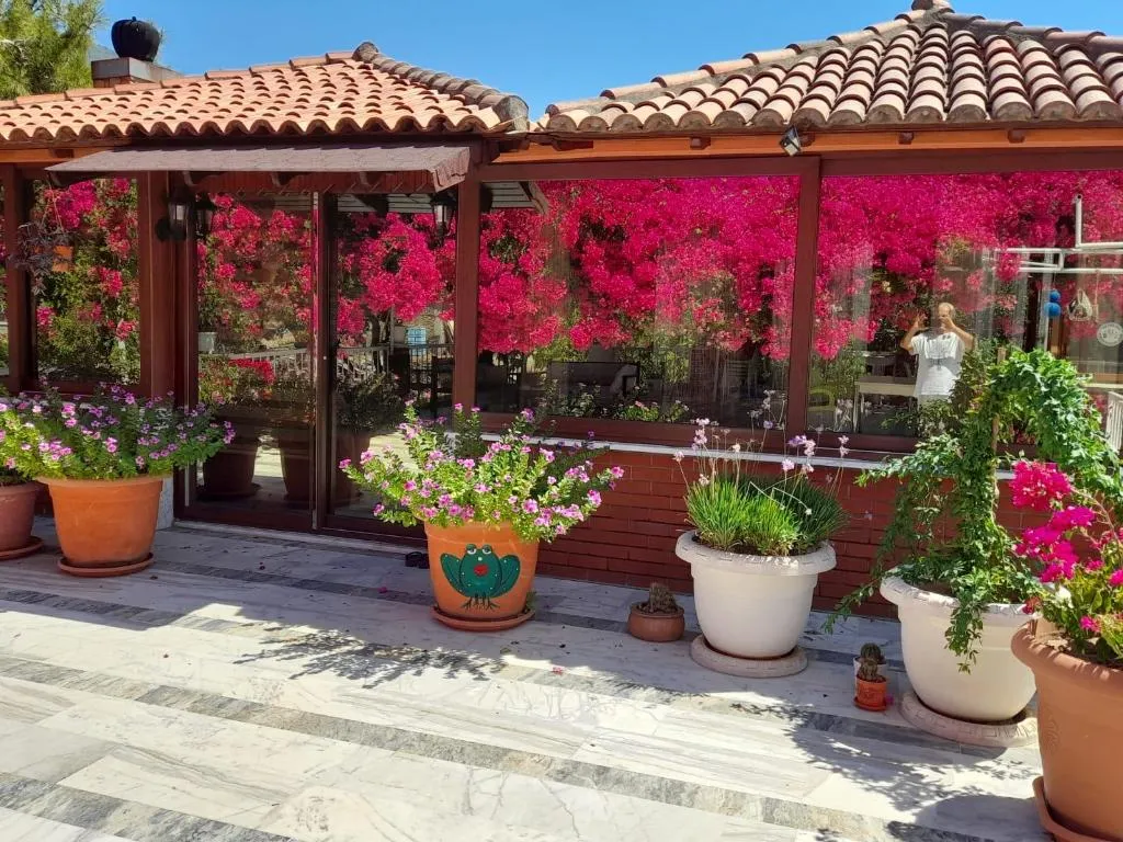 Lobby, Akdeniz Pansiyon, Dalaman