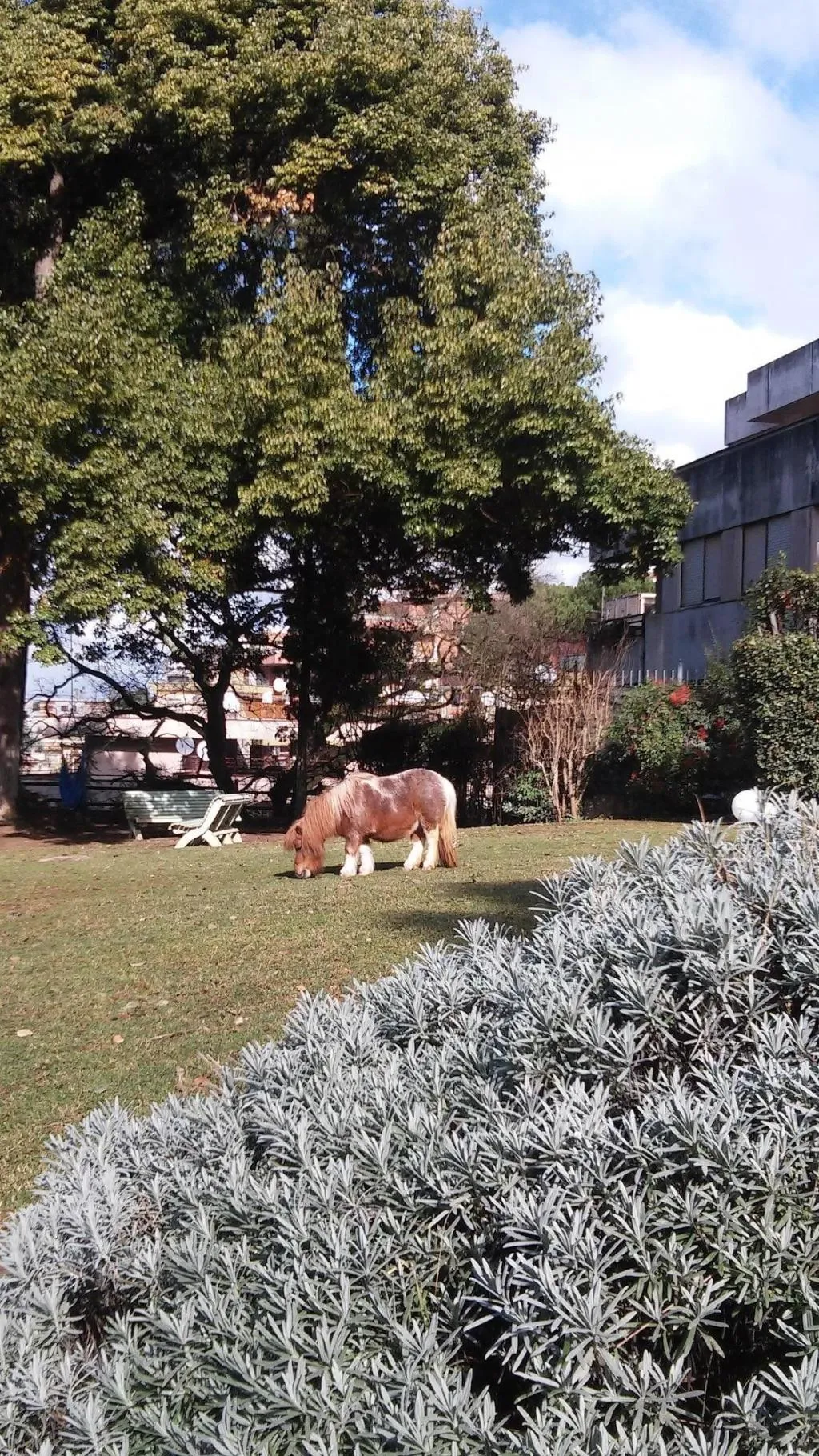 General view, Relais La Canfora, Rome