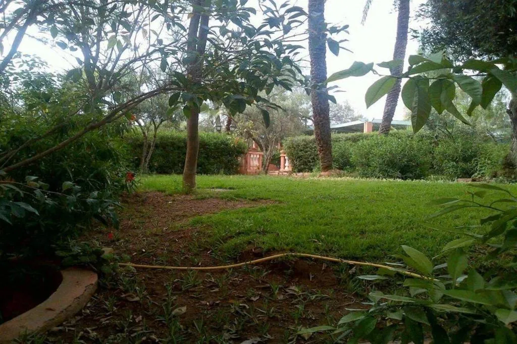 General view, In Club Palmeraie Resort, Marrakech