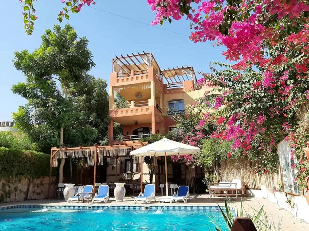 Sports and Entertainment, Nile Compound Hotel, Luxor