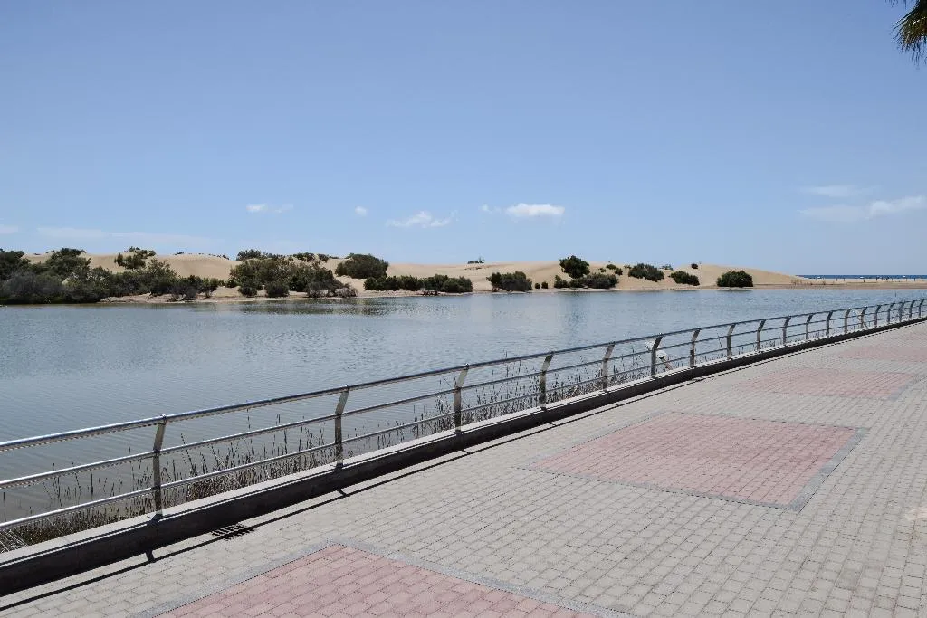 Beach, Dunaoasis Maspalomas, Gran Canaria