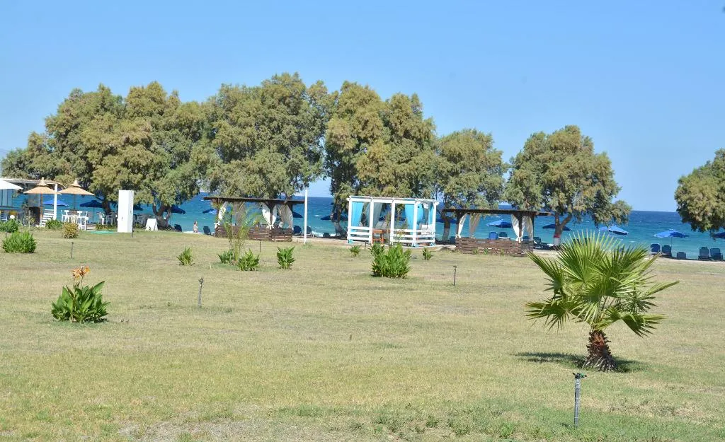 Terrace, Costa Angela, Kos