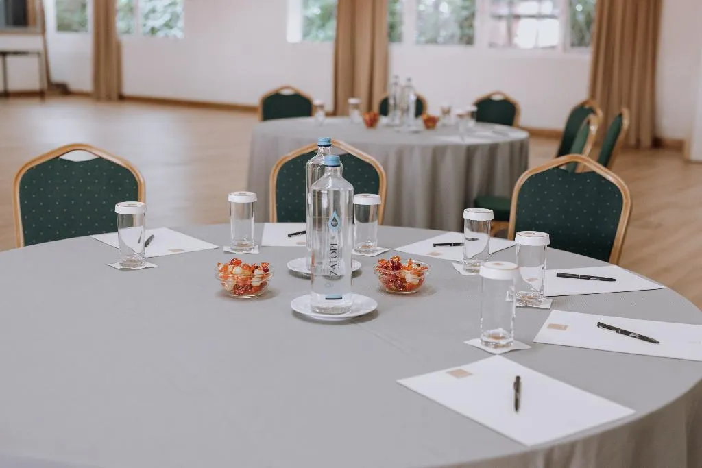 Conferences, Domotel Kastri, Athens