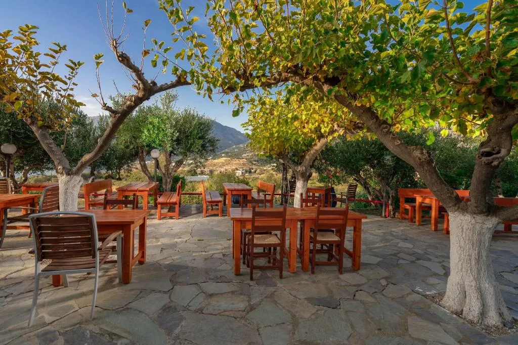 Terrace, Plakias Bay, Crete