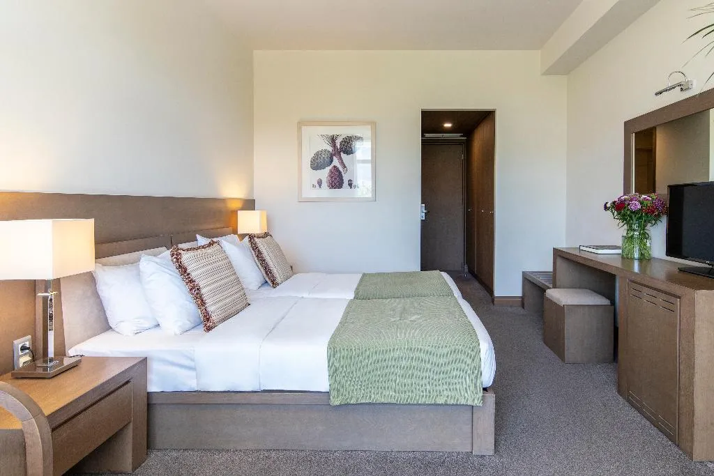 SINGLE DELUXE Room, Amalia Athens, Athens