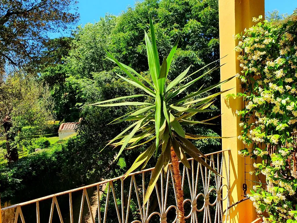 JUNIOR SUITE WITH BALCONY Room, Annalena, Florence