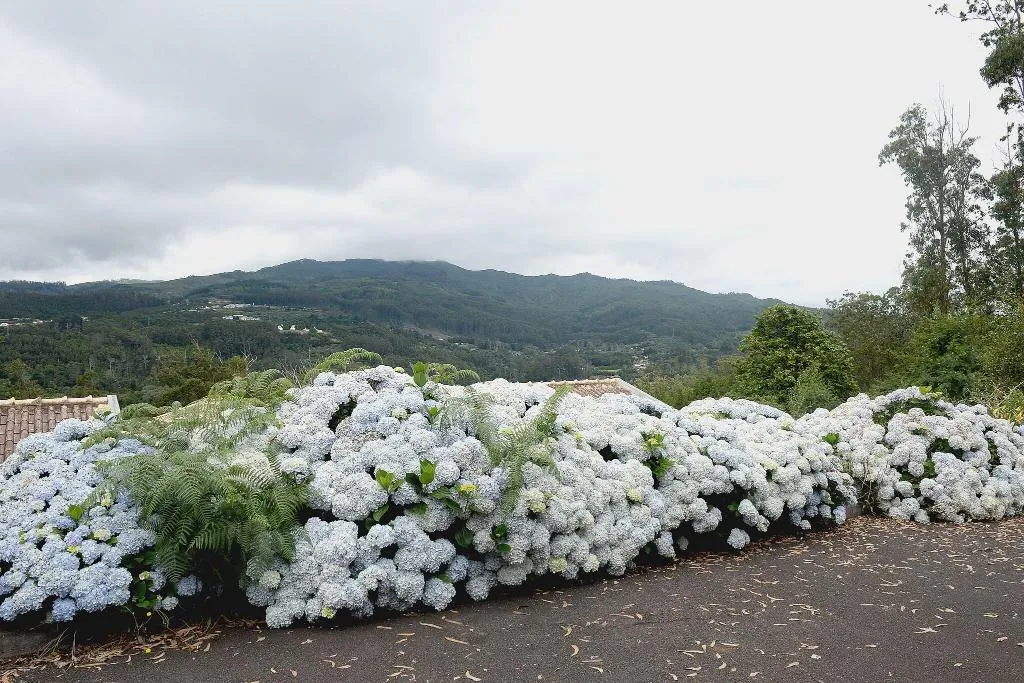 General view, Quinta da Cova do Milho, Madeira