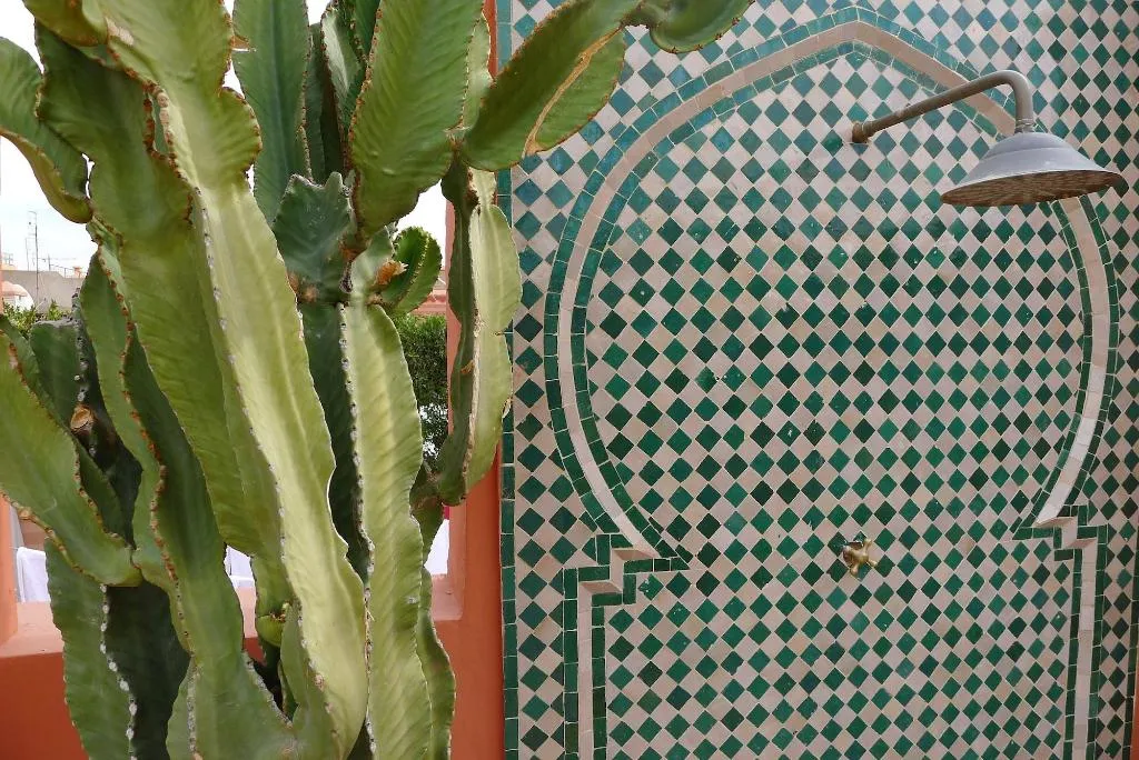 General view, Riad Palacio De Las Especias, Marrakech