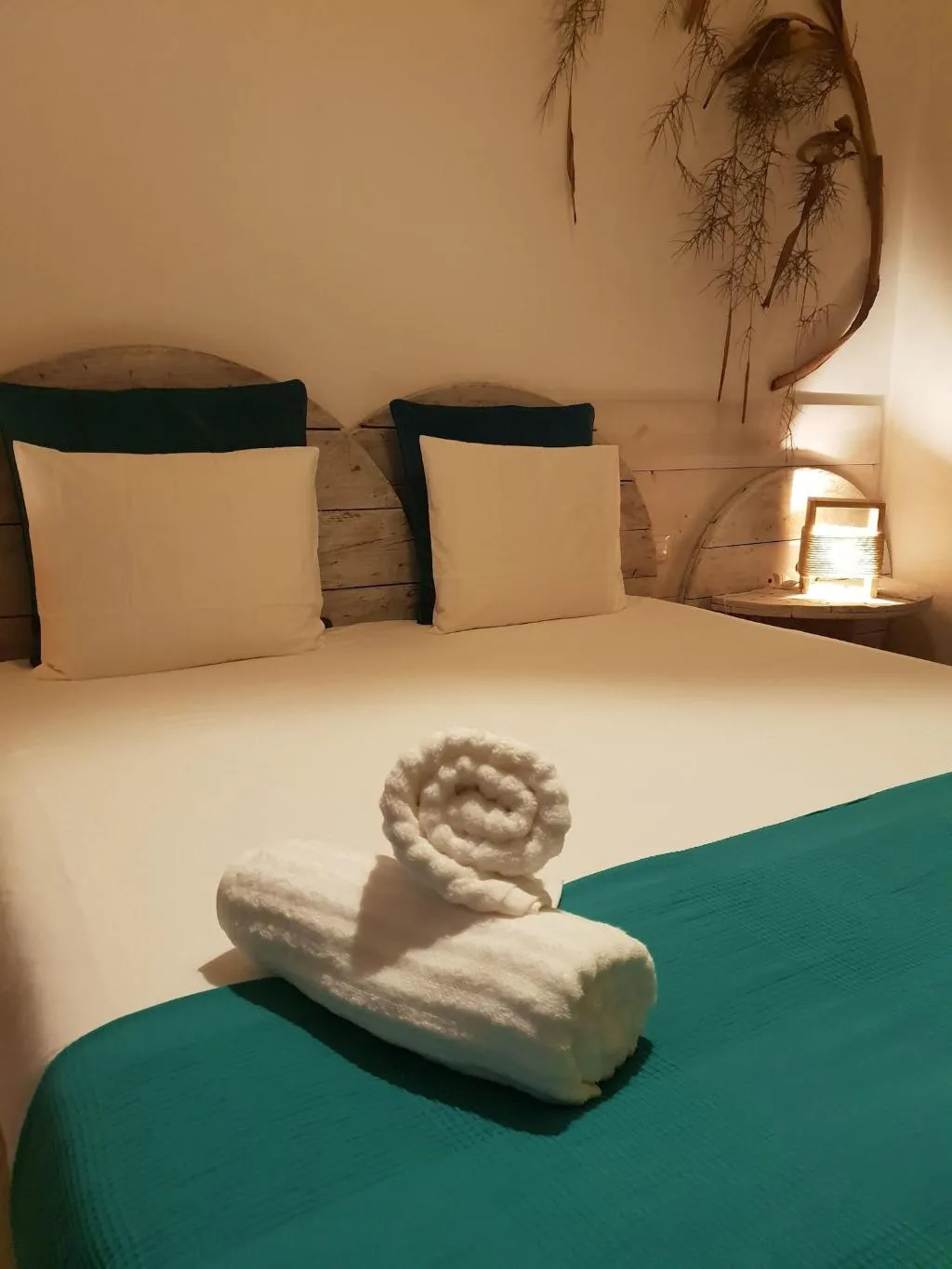 Room, Cactus Host, Gran Canaria