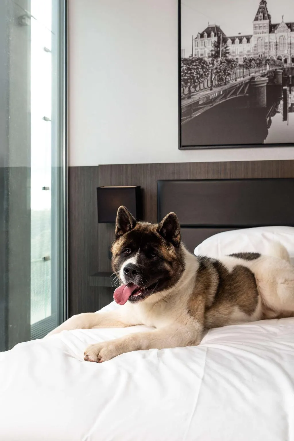 Room, Radisson Hotel & Suites Amsterdam South, Amsterdam