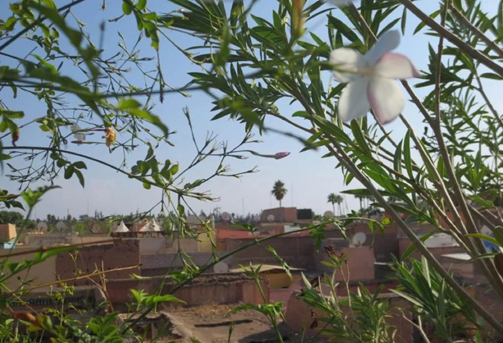 General view, Riad Hikaya, Marrakech