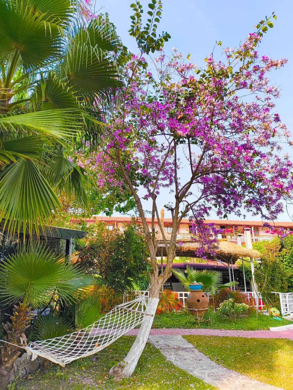 General view, Erendiz Garden Hotel, Antalya