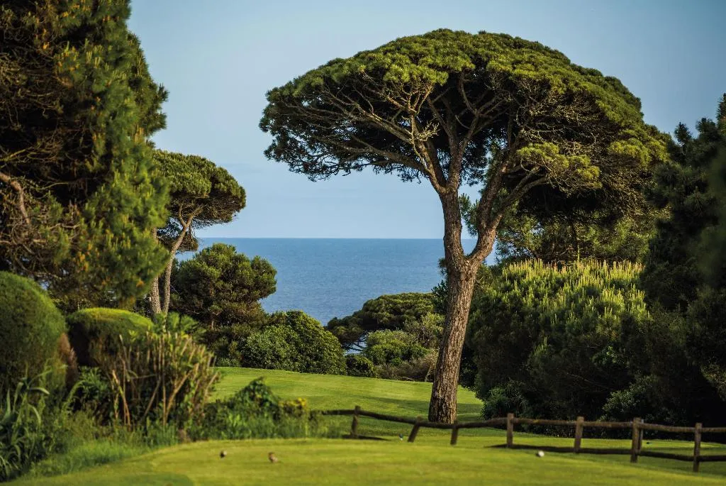 Sports and Entertainment, Onyria Marinha Cascais, Vignette Collection, Lisbon