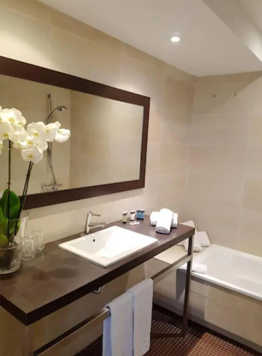 DOUBLE CAPACITY 2 Room, Hotel Ramblas Internacional, Barcelona