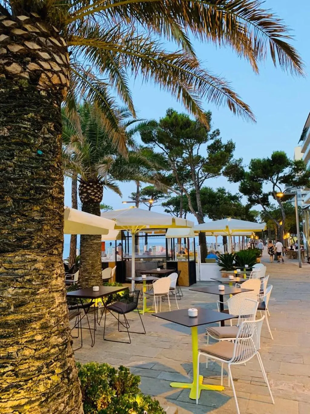 Bar, Aromar, Costa Brava