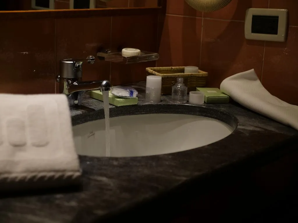 TWIN CLASSIC Room, Hotel Michelangelo Milan, Milan