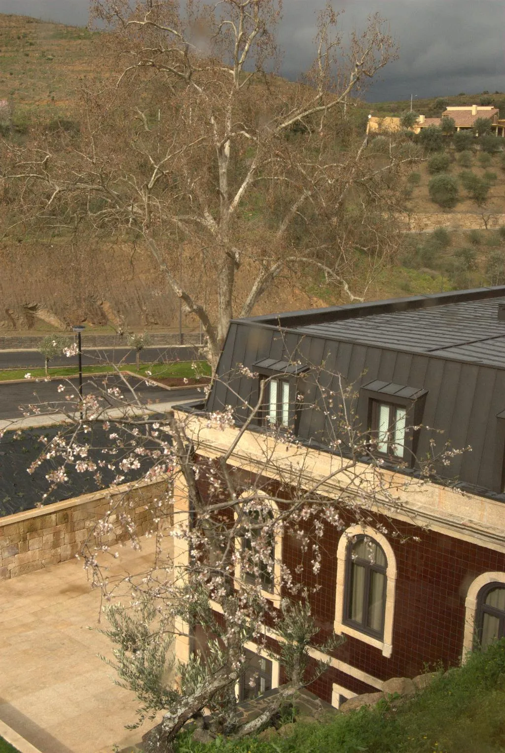 General view, Longroiva Hotel Rural, Porto